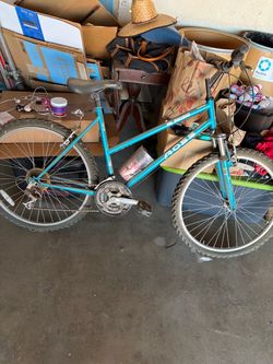 Mt pocono Ross bicycle bike