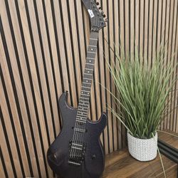 ESP Guitar