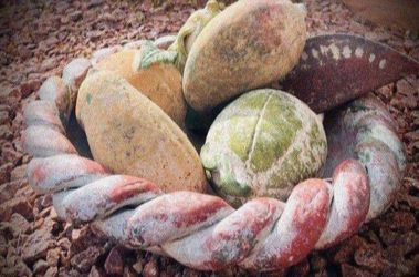 CENTRAL PIECE, Clay Bowl + 6 Fruits.  Condition as new. Diameter of the bowl: 17".