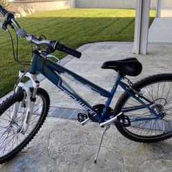 Schwinn Side Winder 26 Inch Wheels. Free Inner Tube Included. $80.
