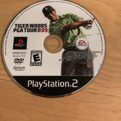 Ps2 Tiger Woods
