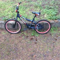 20” Boy Bike $50