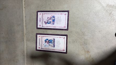Capricorn and Virgo sign hanging pictures.