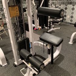 Body Solid Back Machine 