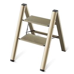 2 Step Ladder