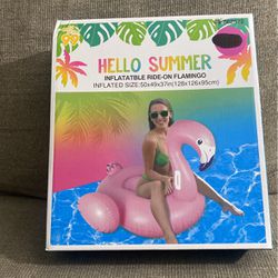Adult Inflatable Ride-On Flamingo 