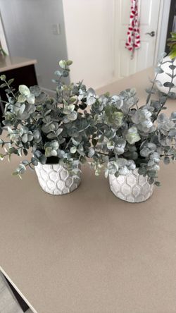 Decorative faux plants