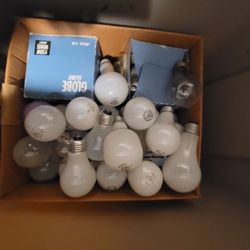 Light Bulbs