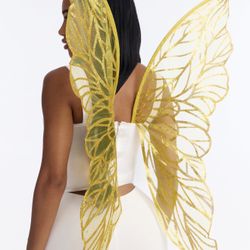 Fairy Wings 