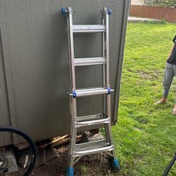 Ladder 