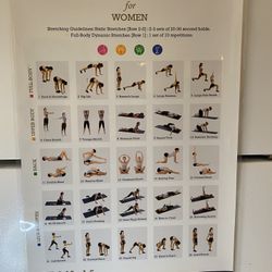 Laminated Poster FULL-BODY STRECHES Exercise for Women 19”x27”