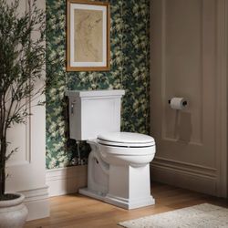 Kohler Tresham 2-piece Elongated Toilet $200