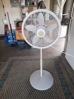 Fan