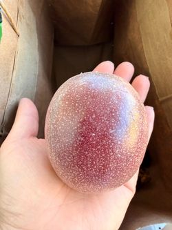 Free ! 12 Fresh purple passionfruit