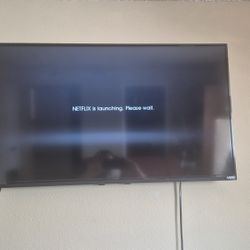 Vizio 40"TV With Remote And Wall Tilting Mount