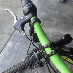 24 In Bike $50