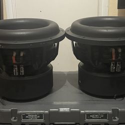 A Pair of 12 Inch Nemesis Audio Hectic Series V2D2