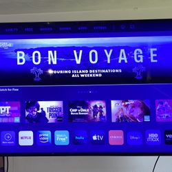 65 inch Vizio TV - Smartcast and Google cast