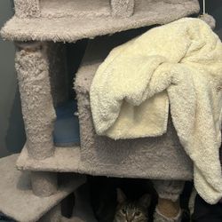 Cat Tree