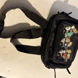 Disney World Parks Crossbody Bag