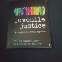 Juvenile Justice An Active Learning Approach