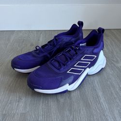 Adidas Workout Shoes