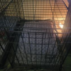 3 Medium Dog Crates with washable beds. Sold Individually. 