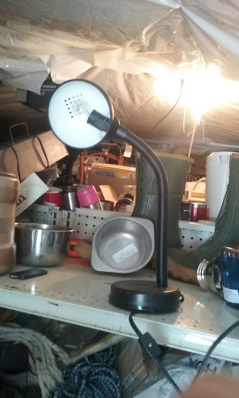 Desk lamp