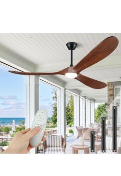 Ceiling fan