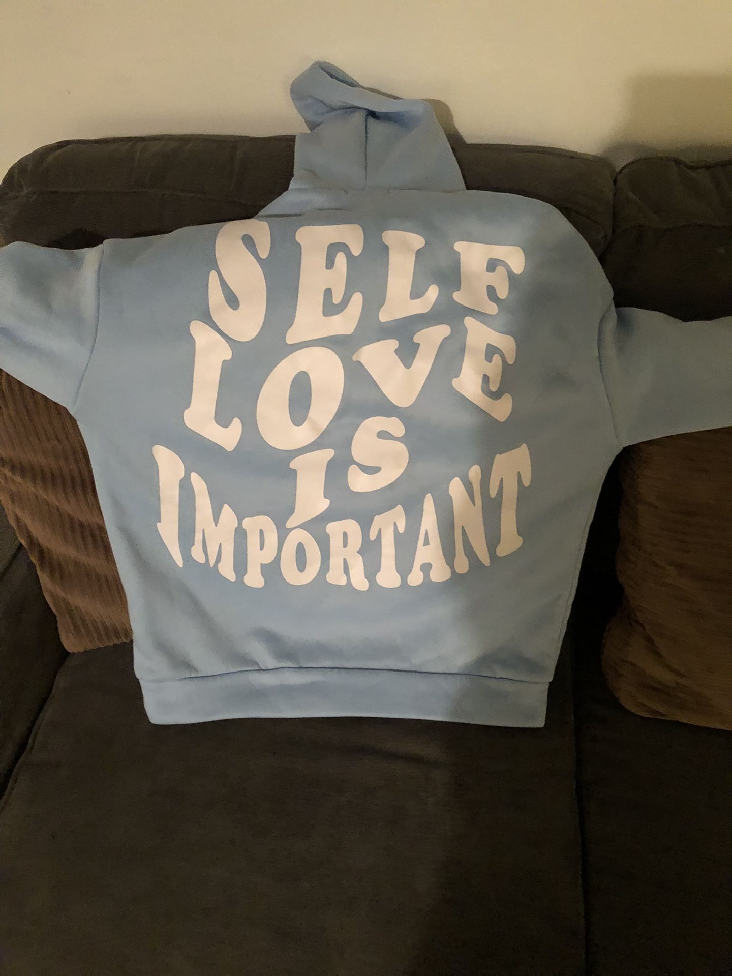 baby blue hoodie