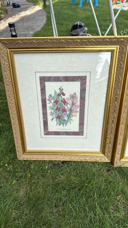 Framed Flower Art 
