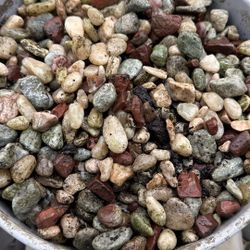 5 gallon bucket full aquarium rocks
