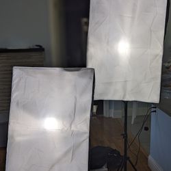 Mount Dog Studio Photography Light Kit W/Case. 3Light/Umbrella Stands & Bulbs