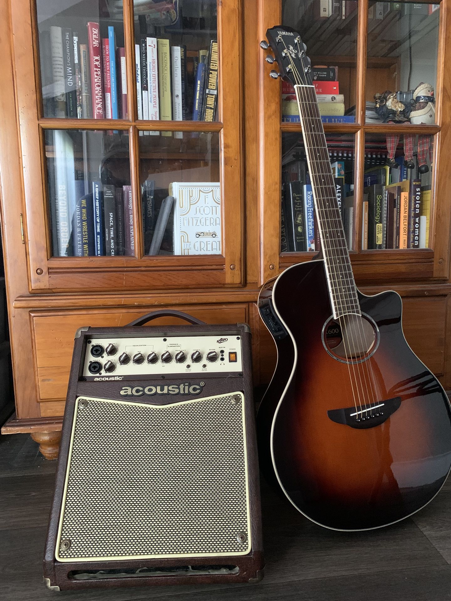 Acoustic / Electric guitar 
