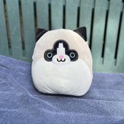 Squishmallow 