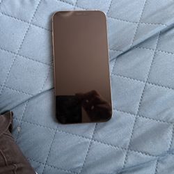 iPhone 12 Pro Max Unlocked