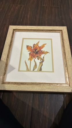 Flower Pictures
