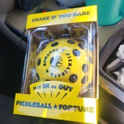 Pickle Ball Fortune