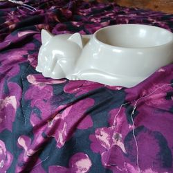 Cat Feed Bowl