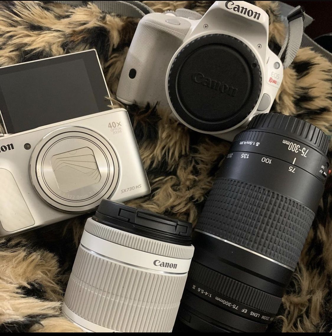 Canon Camera’s and Lens