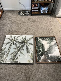 2 Palm Tree Picture Prints