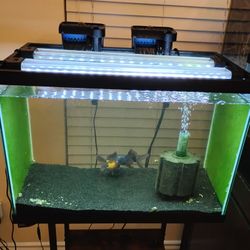20 Gallon Aquarium/Sponge Filter/Air Pump/2 HOB Filters/Everything Inside Included