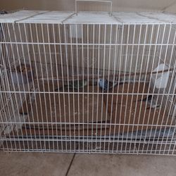 Cage For Sale 
