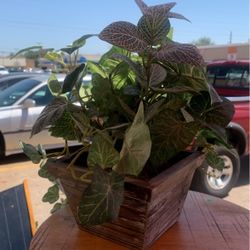 Small Plant $6