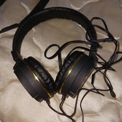 Black Dimaond Sentry Wired Headphones