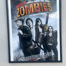 Large poster size framing, glass football jersey frame, Zombieland, Spanish, double side poster