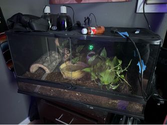 Tank
