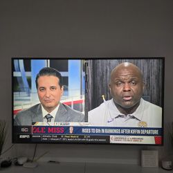 LG 75 Inch Flat Screen