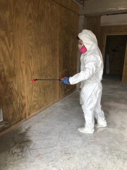 Mold removal
