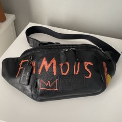 Coach X Jean Michel Basquiat Track Belt Bag for Sale in  display picture 3